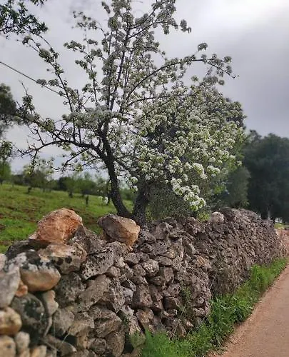 Casa Mirabilis 44 펜션 *