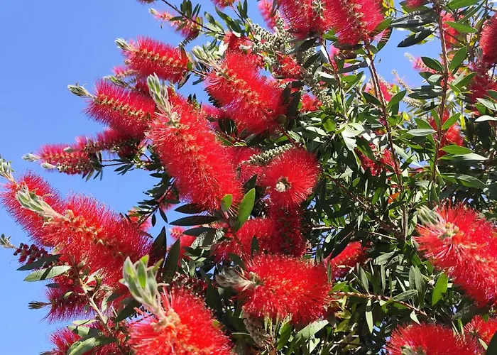 Casa Mirabilis 44 * 오스투니