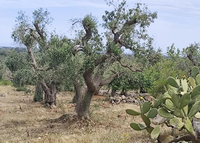 펜션 Casa Mirabilis 44