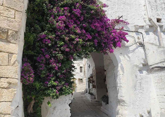 Casa Mirabilis 44 펜션 오스투니