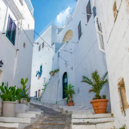 Casa Mirabilis 44