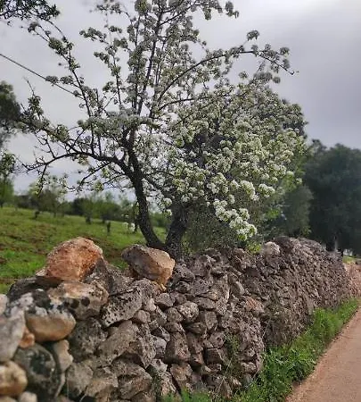 Casa Mirabilis 44 Feriehus *