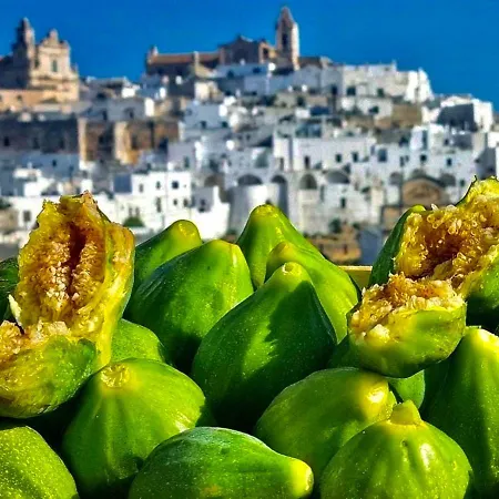 Casa Mirabilis 44 Feriehus *