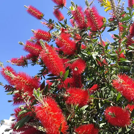 Casa Mirabilis 44 * Ostuni