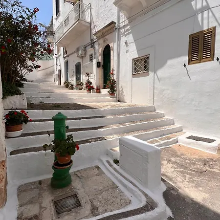 Casa Mirabilis 44