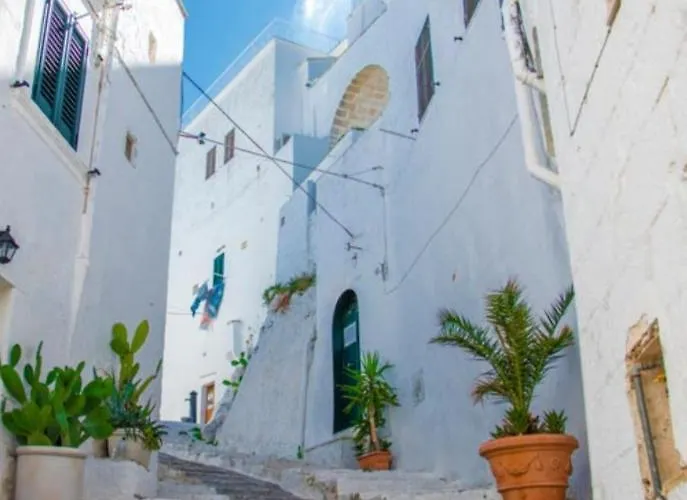 Casa Mirabilis 44