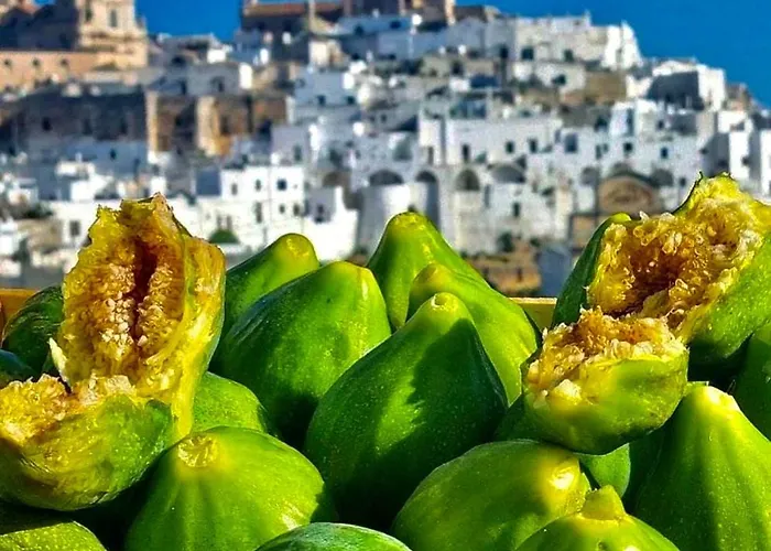 Casa Mirabilis 44 Vakantiehuis *